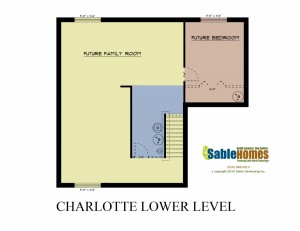 Charlotte Lower Level